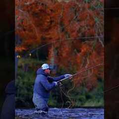 Fly casting is a fishing technique that requires a high level of skill