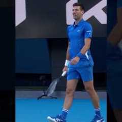 Novak Djokovic Impersonates Her Grunts