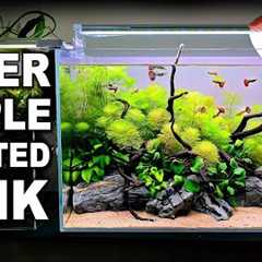 How To Make Your First Planted Tank (EASY STEP BY STEP AQUASCAPE TUTORIAL)