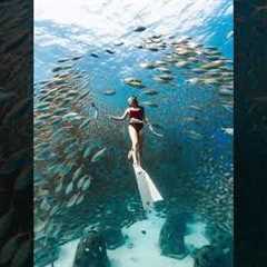 🌊 Discover Thailand's Underwater Wonders: Ultimate Scuba Diving Guide 🇹🇭 (Best Spots, Tips & ..