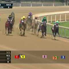 AYE EYE Comes Out of Nowhere to Win at 26-1 in a CRAZY Finish 🤯
