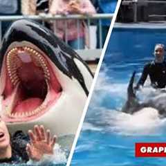 Was Orca trainer Jessica Radcliffe really killed by a killer whale? The truth about the viral story