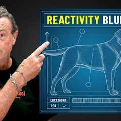 I Asked The Best Dog Trainer I Know How To Train a Reactive Dog - His Answer Blew My Mind.