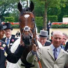 FRANKEL: remembering an equine great | Racing Royalty
