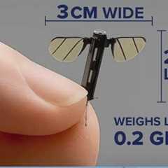 China unveils mosquito-sized drone | NewsNation Now