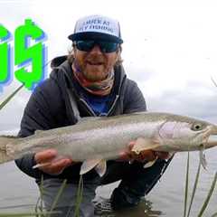 Fly Fishing on a BUDGET