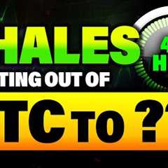 Crypto Whales Moving Money Out of Bitcoin Into These 2 Altcoins