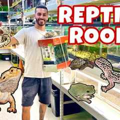 CRAZIEST BEST FAMILY OWNED PET SHOP IN FLORIDA! *HANDS DOWN!*