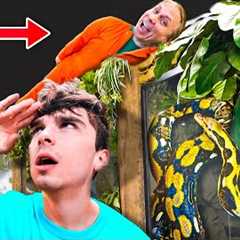 I Cheated At Hide And Seek At My Reptile Zoo!