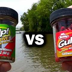GULP Minnow vs GULP Worm - Beginner Friendly Baits for Bank Fishing!