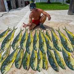 BEST Day of Dolphin fishing! Catch Clean Cook ( Florida Mahi Mahi)