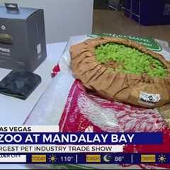 SuperZoo Las Vegas showcases new pet care products, treats