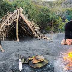 3 DAYS solo survival (NO FOOD, NO WATER, NO SHELTER) on an island with only a POCKET KNIFE