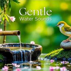 Healing Music for Anxiety Disorders, Meditation Music, Nature Sounds, Reduce Stress, Calming Music