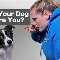 Are You Accidentally Being A BAD Leader For Your Dog?