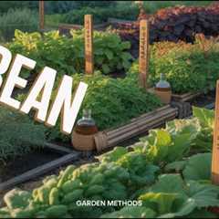 Build a Korean Pest-Proof Edible Ecosystem (Why Pests CAN'T Survive These Gardens)
