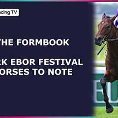 Eight horses to follow at the Ebor Festival | The Formbook | Racing TV