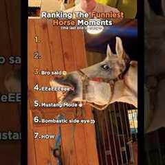Top 7 Funniest Horse Fails and Moments!