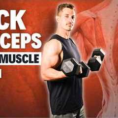 20 Minute Dumbbell Back and Bicep Workout | Build Muscle