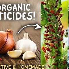 5 Natural Kitchen Based Pesticides For Vegetable Plants! (All Organic) 