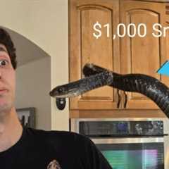 I spent $1,000 at the biggest reptile expo in the country!