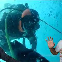 Divers React to divers having panic attacks underwater