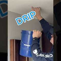 Fixing a Roof Leak: DIY Repair Tips for Homeowners