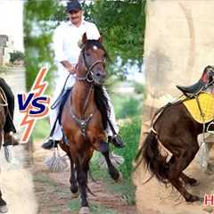 HORSE RACING🏇BIG CHALLENGE MATCH😱