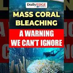 Daily Edge By Vision | Mass Coral Bleaching Event in Australia