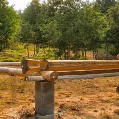 I'm Building an Rustic LOG CABIN Alone on my New Off Grid Land | EP20