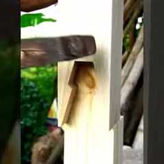 Awesome No Screw With Japanese Woodworking Joints #shorts