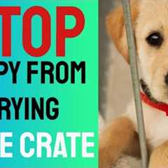 Stop Puppy From Crying in the Crate - Crate Training Tips