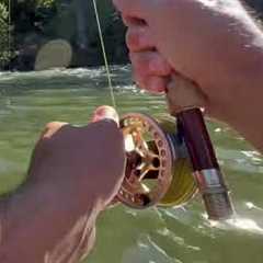What Every Fisherman DREAMS About!
