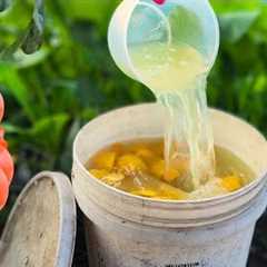 How Orange Peels Can Protect Your Garden from Bugs and Boost Growth!