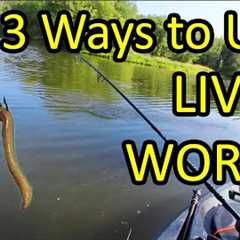 How to Catch a Fish With a Live Worm for Bait - 3 Ways (Beginner Fishing Tips)