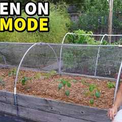 Gardening On EASY MODE: No Pests, No Weeds, No Watering! [DETAILED GUIDE]