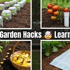Gardening Hacks You'll Wish You Knew Sooner🔥