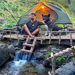 3 DAYS solo survival CAMPING; Catch and Cook, Fishing, Quail. Bushcraft Skills. Tent Shelter
