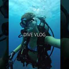 dive vlog kinda #florida #diving #scubadiving #beach #ocean #travel #nature #boat #fishing #boating