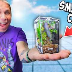 I Bought The Smallest Reptile Cage On The Internet