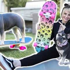 Just Me Teaching My Dog To Skateboard