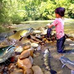 Little Girl’s Fishing Skills | How to Make a Stone Fish Trap on a Stream to Catch Big Catfish
