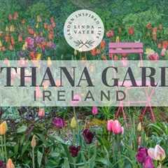 A Magnificent Garden Full Of Design Tips 🌿🌷