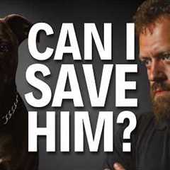 I Took the Dog No One Wanted... Here’s What Happened