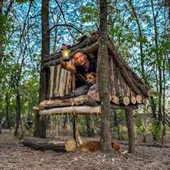 Building a Cozy and Safe Tree Shelter. Survival Skills, Bushcraft