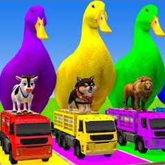 Long Slide Game With Cow Elephant Gorilla Hippopotamus Tiger 3d Animal Game Funny 3d Animals