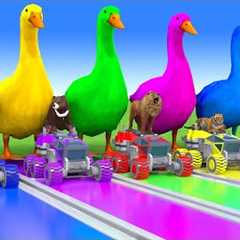 Long Slide Game With Cow Elephant Gorilla Hippopotamus Tiger - 3d Animal Game - Funny 3d Animals