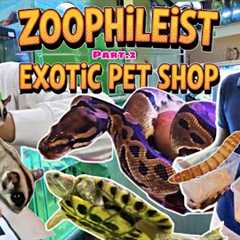 🐾 Zoophilist Exotic Pet in Chennai | Part 2 | Snakes, Sugar Gliders, Hamsters, Monster Fish &..