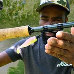 The Truth - Modern Fishing Lure Trends DONT WORK