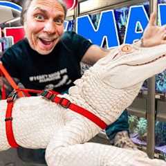 Taking My Albino Alligator Back To Petsmart!